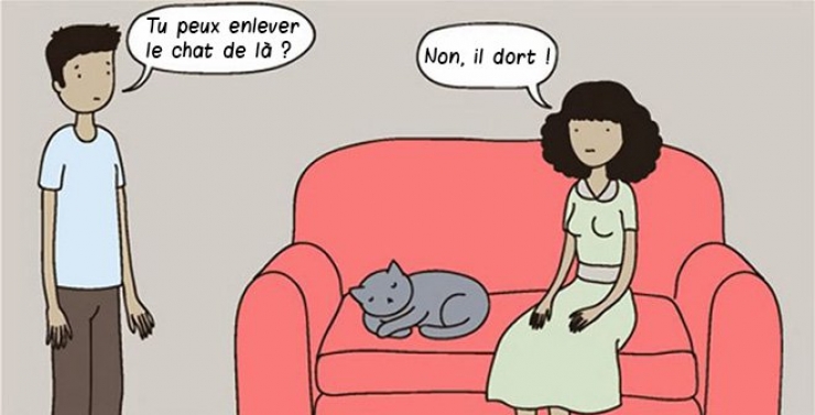 Illustration de l'article : Ce quelques bandes dessinées très drôles résument parfaitement ce qu'est le quotidien quand on a un chat !