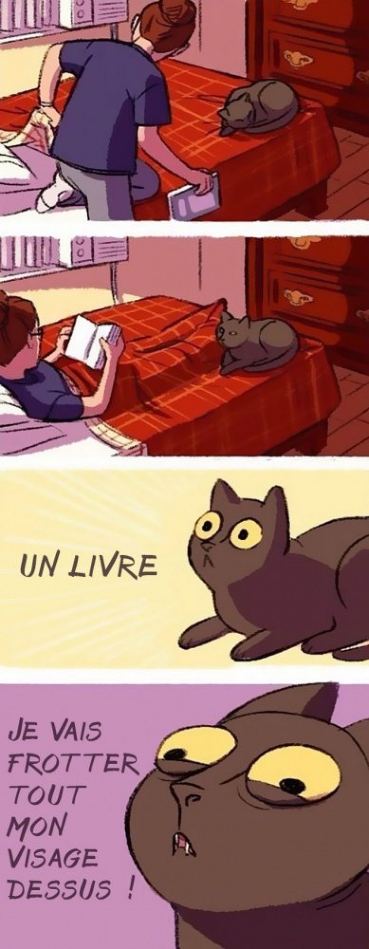 Illustration de l'article : Ce quelques bandes dessinées très drôles résument parfaitement ce qu'est le quotidien quand on a un chat !