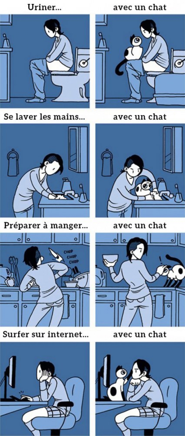 Illustration de l'article : Ce quelques bandes dessinées très drôles résument parfaitement ce qu'est le quotidien quand on a un chat !