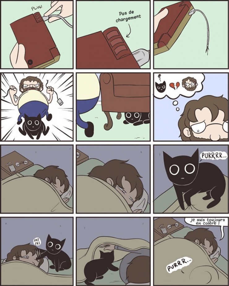Illustration de l'article : Ce quelques bandes dessinées très drôles résument parfaitement ce qu'est le quotidien quand on a un chat !