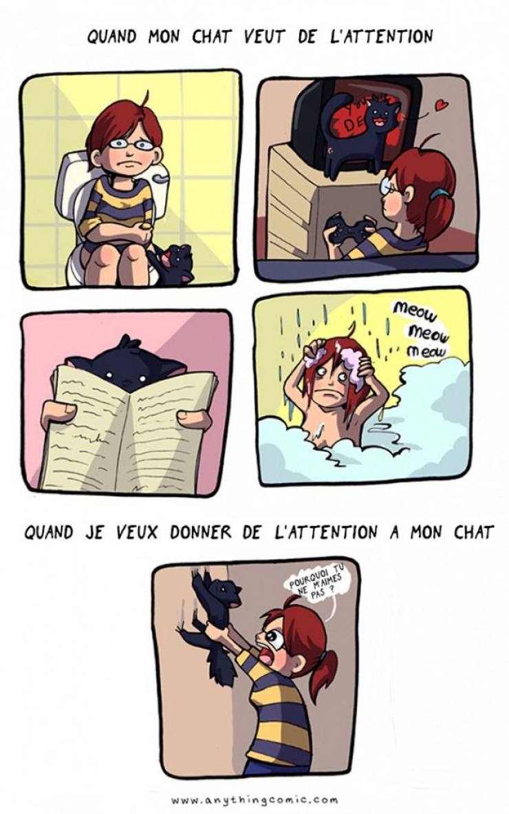 Illustration de l'article : Ce quelques bandes dessinées très drôles résument parfaitement ce qu'est le quotidien quand on a un chat !