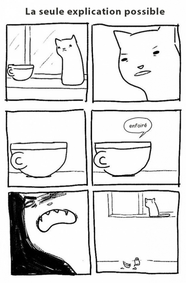 Illustration de l'article : Ce quelques bandes dessinées très drôles résument parfaitement ce qu'est le quotidien quand on a un chat !