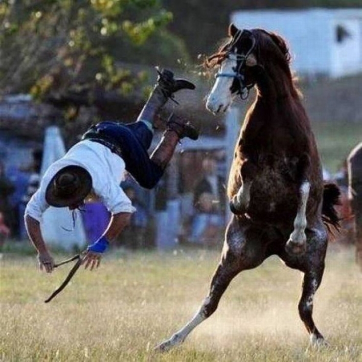 Illustration de l'article : Top 28 des meilleures photos prises au bon moment !