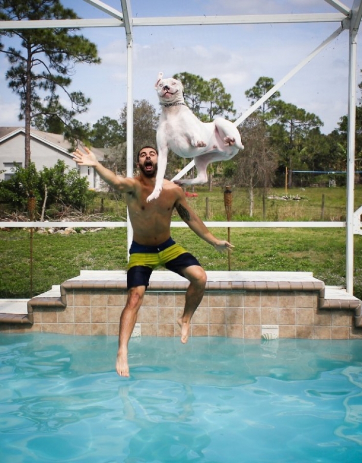 Top 28 des meilleures photos prises au bon moment