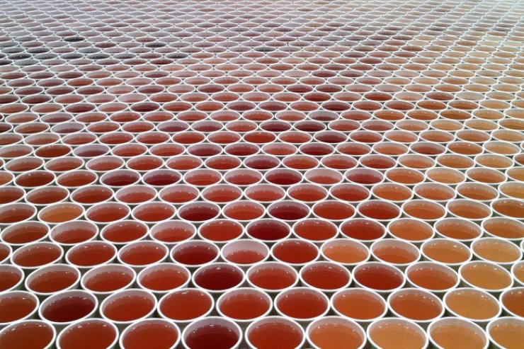 Illustration de l'article : Il dispose 66.000 verres remplis d'eau les uns à côté des autres. Une fois que la caméra s'éloigne c'est vraiment surprenant...