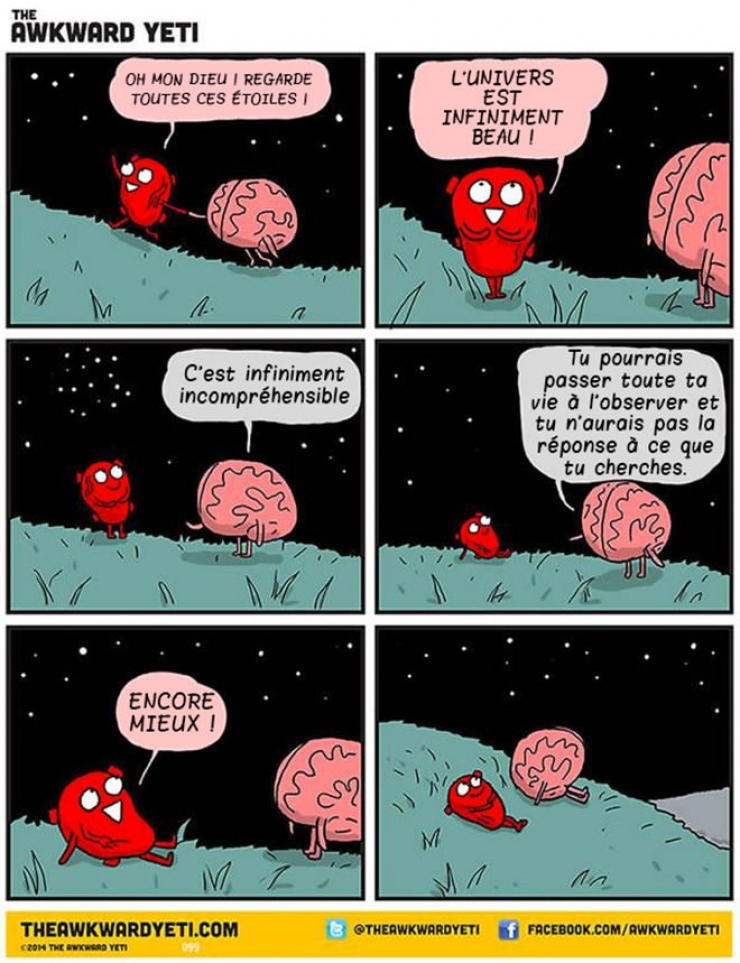 Illustration de l'article : Les différentes façons de penser du coeur et du cerveau, le tout illustré dans une bande dessinée ! Cerveau Vs Coeur...
