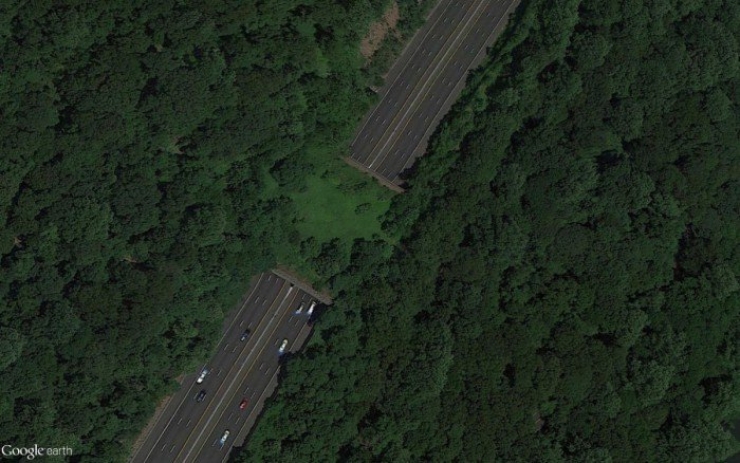 Illustration de l'article : 8 ponts créés sur des autoroutes, dans le seul but de protéger les animaux...