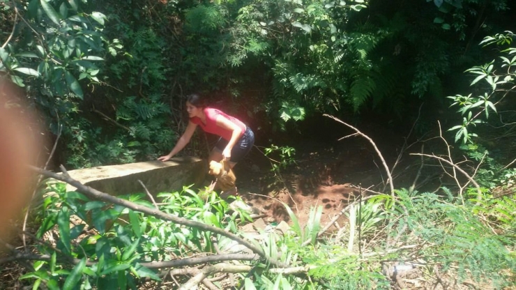 Illustration de l'article : Un pauvre animal abandonn&eacute; a &eacute;t&eacute; aper&ccedil;u dans un sac...