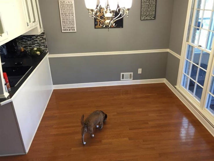 Illustration de l'article : Il lui a suffi d'utiliser des matériaux simples pour transformer complètement sa salle à manger.. Attendez de voir le résultat !