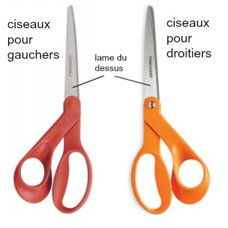 Illustration de l'article : 10 problèmes auxquels les gauchers doivent faire face