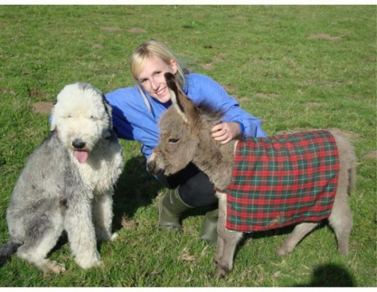 Illustration de l'article : 10 clichés qui vous feront voir les ânes nains d'une autre façon