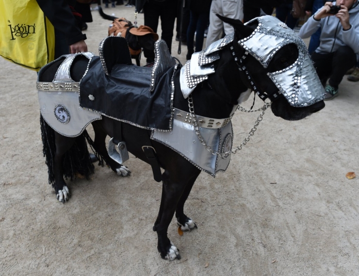 Illustration de l'article : 11 parmi les meilleures photos de la "Halloween Dog Parade" à New York