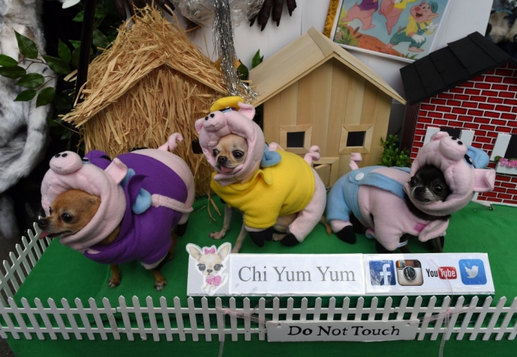 Illustration de l'article : 11 parmi les meilleures photos de la "Halloween Dog Parade" à New York