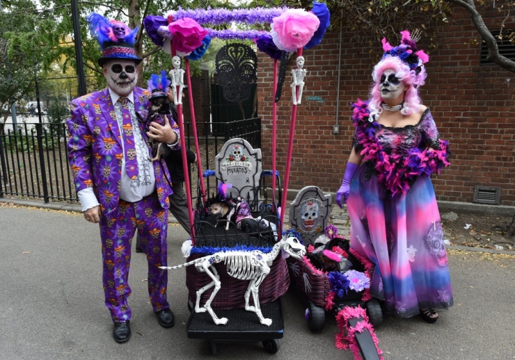 Illustration de l'article : 11 parmi les meilleures photos de la "Halloween Dog Parade" à New York