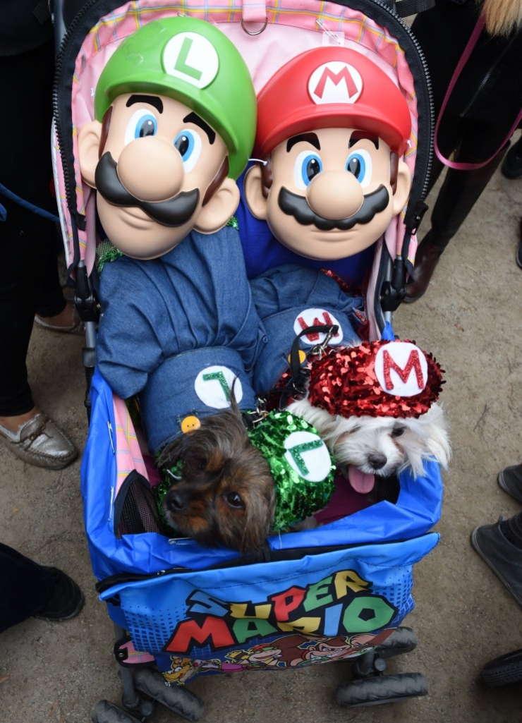 Illustration de l'article : 11 parmi les meilleures photos de la "Halloween Dog Parade" à New York