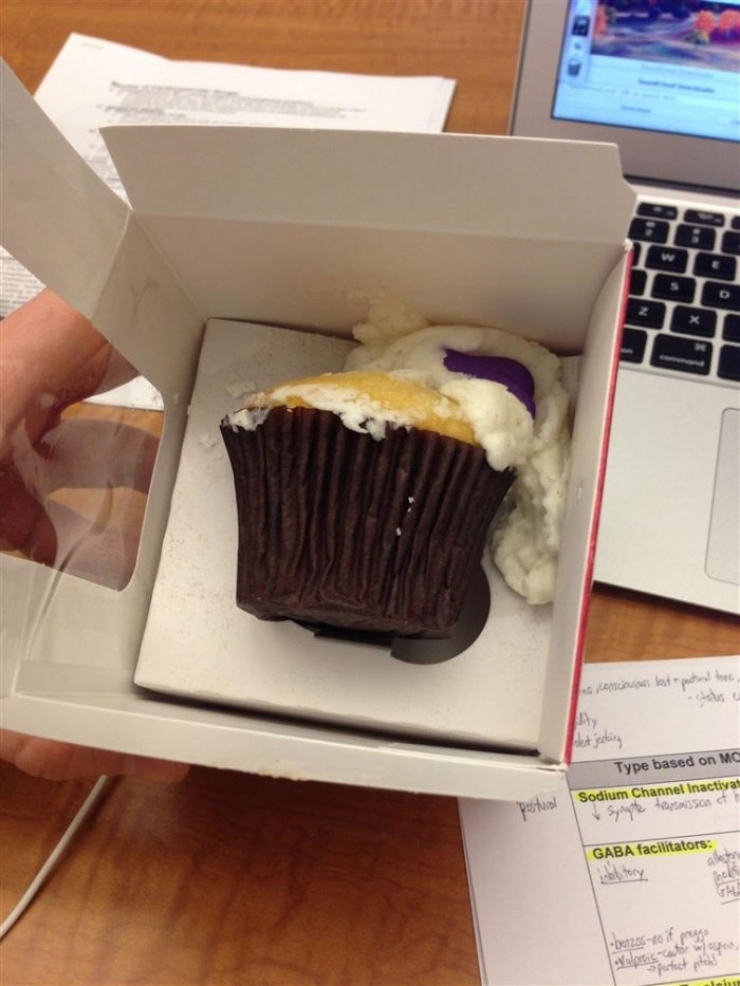 Illustration de l'article : Dure journée pour la rentrée? Ces 12 photos vous aideront à relativiser