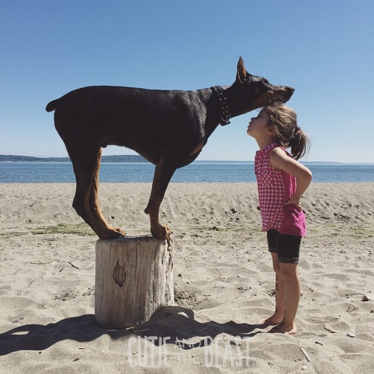 Illustration de l'article : Voici la petite Siena, 3 ans, et Buddha, le dobermann de 2 ans. Les photos de leur merveilleuse amitié vous laisseront sans voix