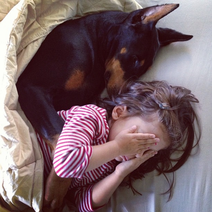 Illustration de l'article : Voici la petite Siena, 3 ans, et Buddha, le dobermann de 2 ans. Les photos de leur merveilleuse amitié vous laisseront sans voix