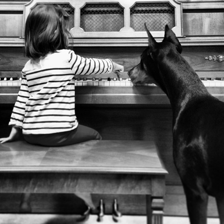 Illustration de l'article : Voici la petite Siena, 3 ans, et Buddha, le dobermann de 2 ans. Les photos de leur merveilleuse amitié vous laisseront sans voix