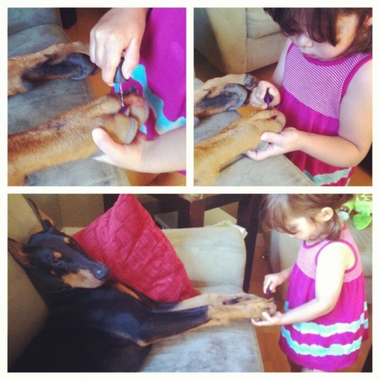 Illustration de l'article : Voici la petite Siena, 3 ans, et Buddha, le dobermann de 2 ans. Les photos de leur merveilleuse amitié vous laisseront sans voix