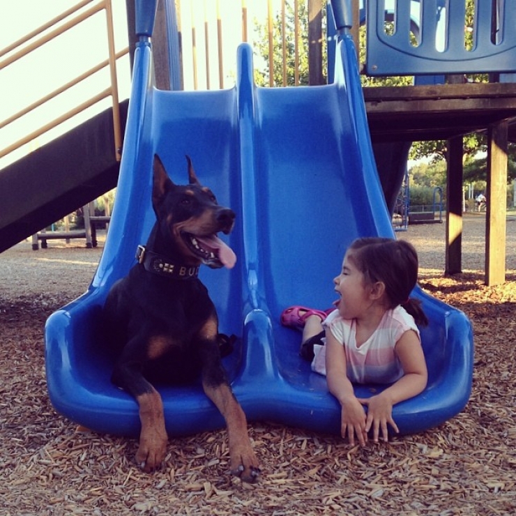 Illustration de l'article : Voici la petite Siena, 3 ans, et Buddha, le dobermann de 2 ans. Les photos de leur merveilleuse amitié vous laisseront sans voix
