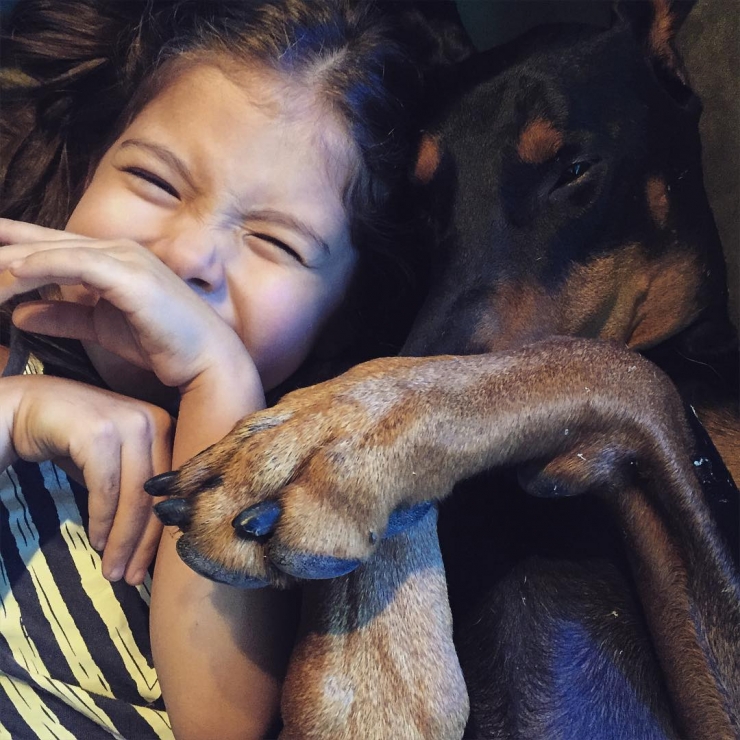 Illustration de l'article : Voici la petite Siena, 3 ans, et Buddha, le dobermann de 2 ans. Les photos de leur merveilleuse amitié vous laisseront sans voix