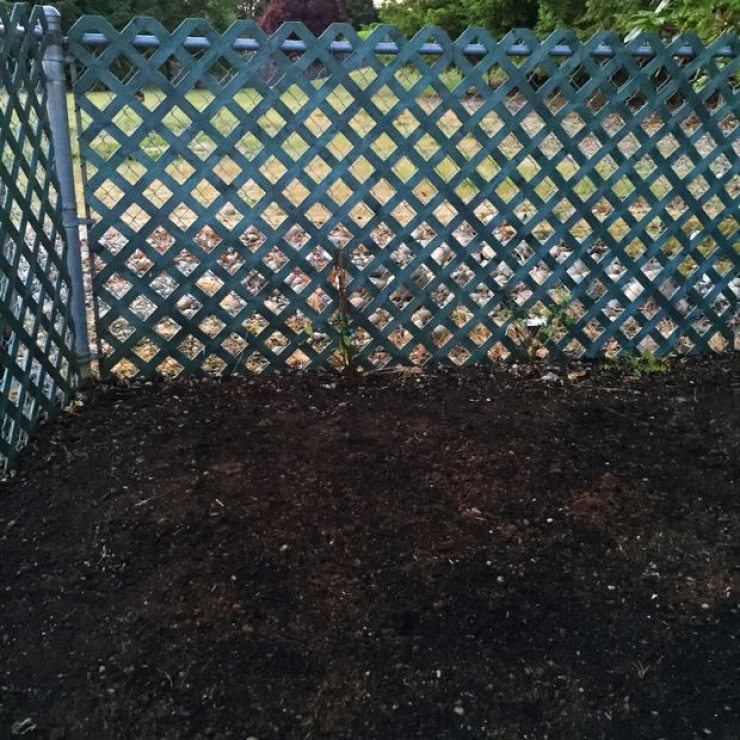 Illustration de l'article : Elle cr&eacute;e un jardin secret &agrave; sa fille pour son anniversaire... Une id&eacute;e de g&eacute;nie ! 