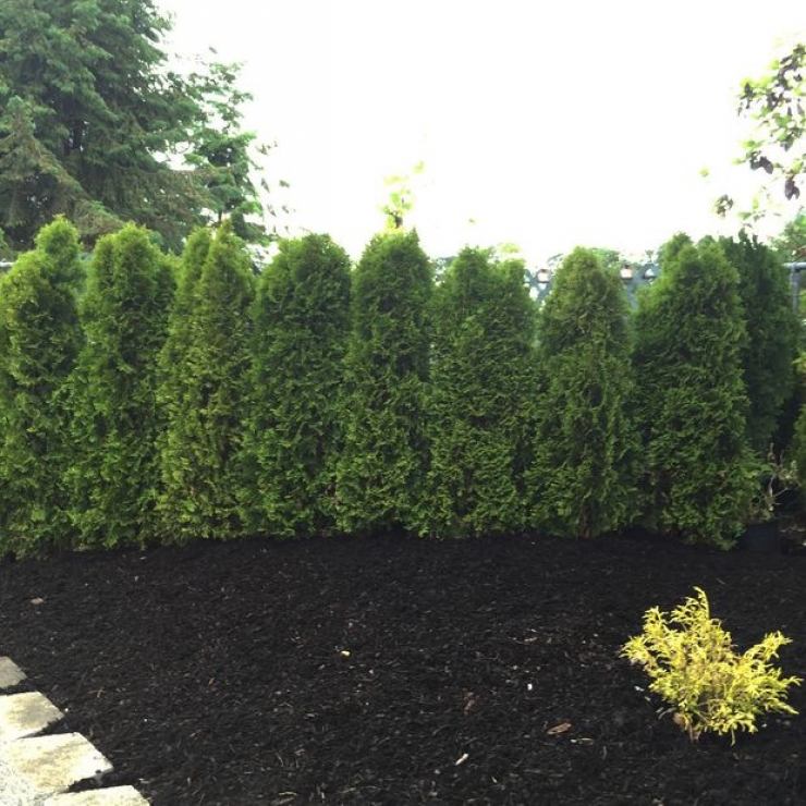 Illustration de l'article : Elle cr&eacute;e un jardin secret &agrave; sa fille pour son anniversaire... Une id&eacute;e de g&eacute;nie ! 