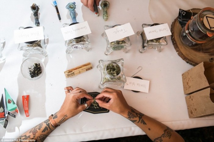 Illustration de l'article : Ils remplacent le champagne par du cannabis lors de leur mariage... Les invités adorent !