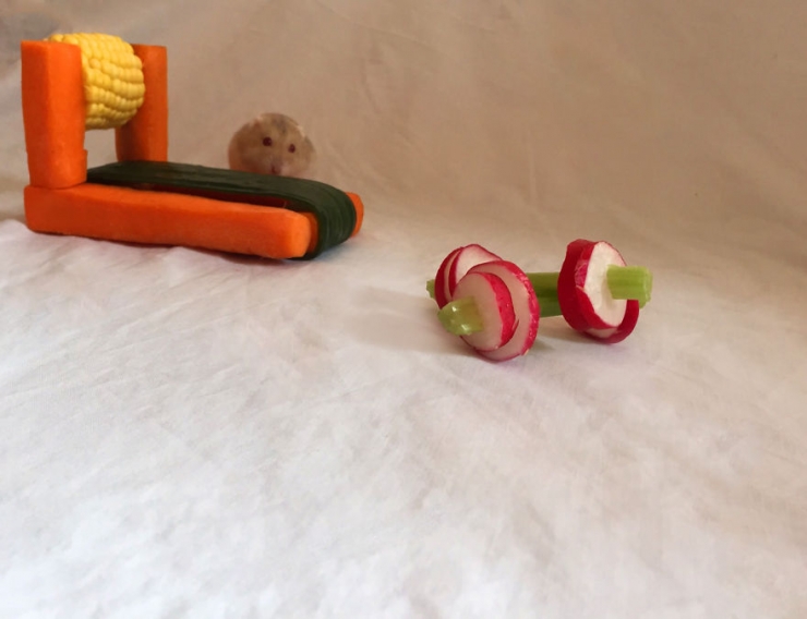 Illustration de l'article : Un mini salle de muscu en légumes pour hamsters fainéants