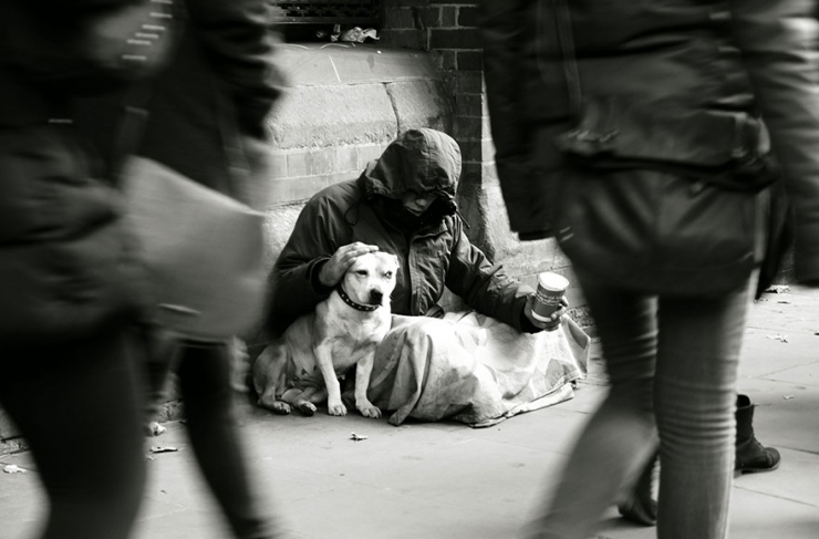 Illustration de l'article : Quelle que soit votre situation, votre chien sera toujours là pour vous! La preuve en 15 photos...