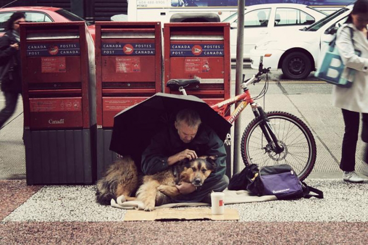 Illustration de l'article : Quelle que soit votre situation, votre chien sera toujours là pour vous! La preuve en 15 photos...