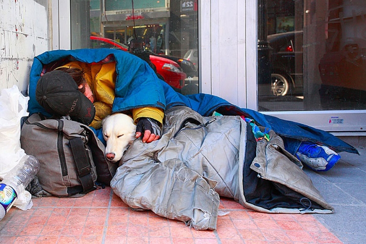 Illustration de l'article : Quelle que soit votre situation, votre chien sera toujours là pour vous! La preuve en 15 photos...