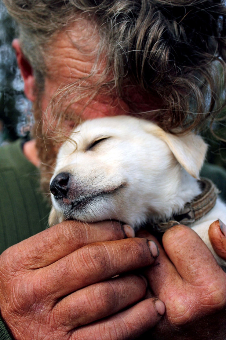 Illustration de l'article : Quelle que soit votre situation, votre chien sera toujours là pour vous! La preuve en 15 photos...