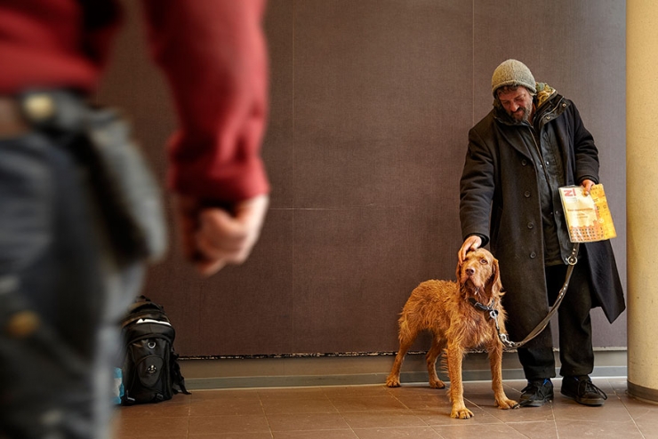 Illustration de l'article : Quelle que soit votre situation, votre chien sera toujours là pour vous! La preuve en 15 photos...