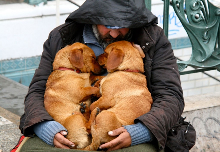 Illustration de l'article : Quelle que soit votre situation, votre chien sera toujours là pour vous! La preuve en 15 photos...