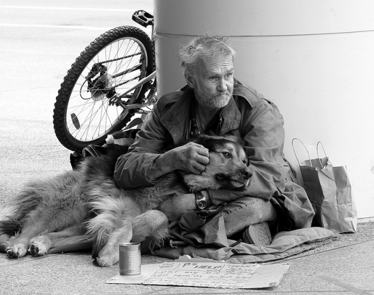 Illustration de l'article : Quelle que soit votre situation, votre chien sera toujours là pour vous! La preuve en 15 photos...