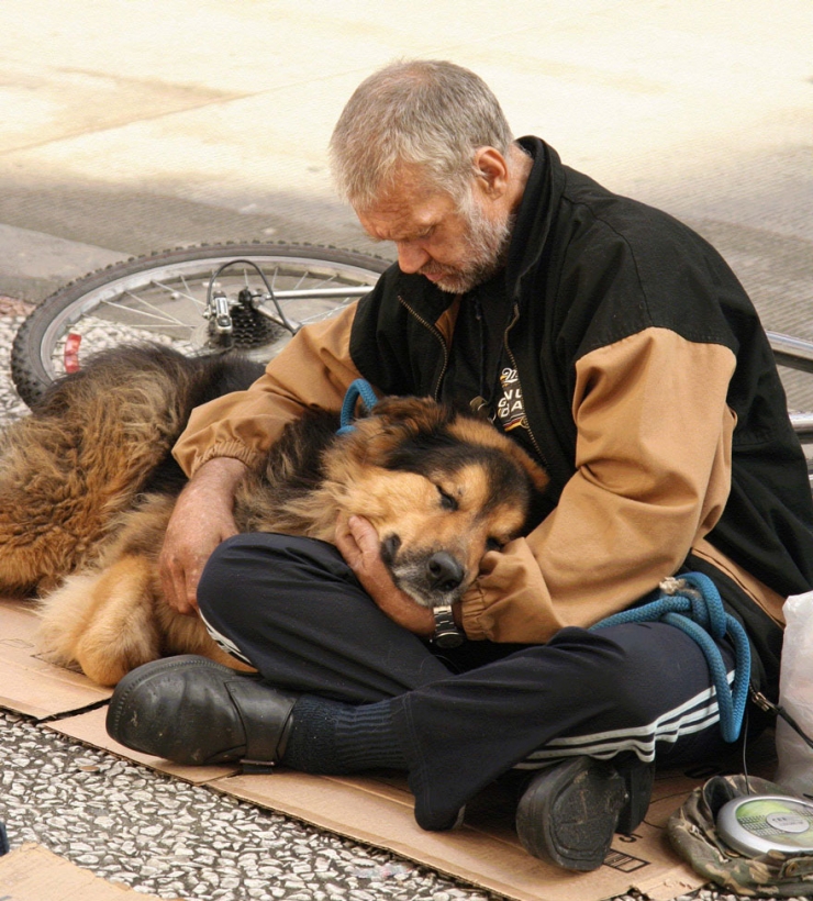 Illustration de l'article : Quelle que soit votre situation, votre chien sera toujours là pour vous! La preuve en 15 photos...