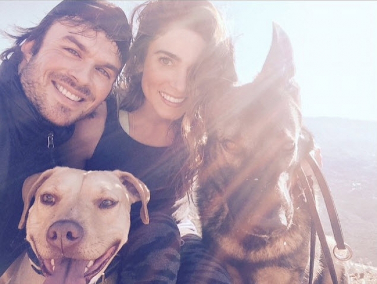 Illustration de l'article : 12 stars qui posent avec leurs chiens adorés sur Instagram