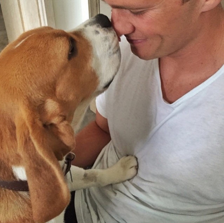 Illustration de l'article : 12 stars qui posent avec leurs chiens adorés sur Instagram