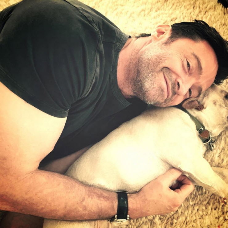 Illustration de l'article : 12 stars qui posent avec leurs chiens adorés sur Instagram
