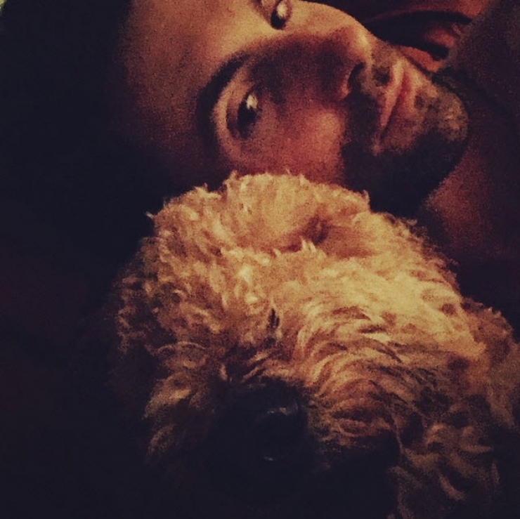 Illustration de l'article : 12 stars qui posent avec leurs chiens adorés sur Instagram