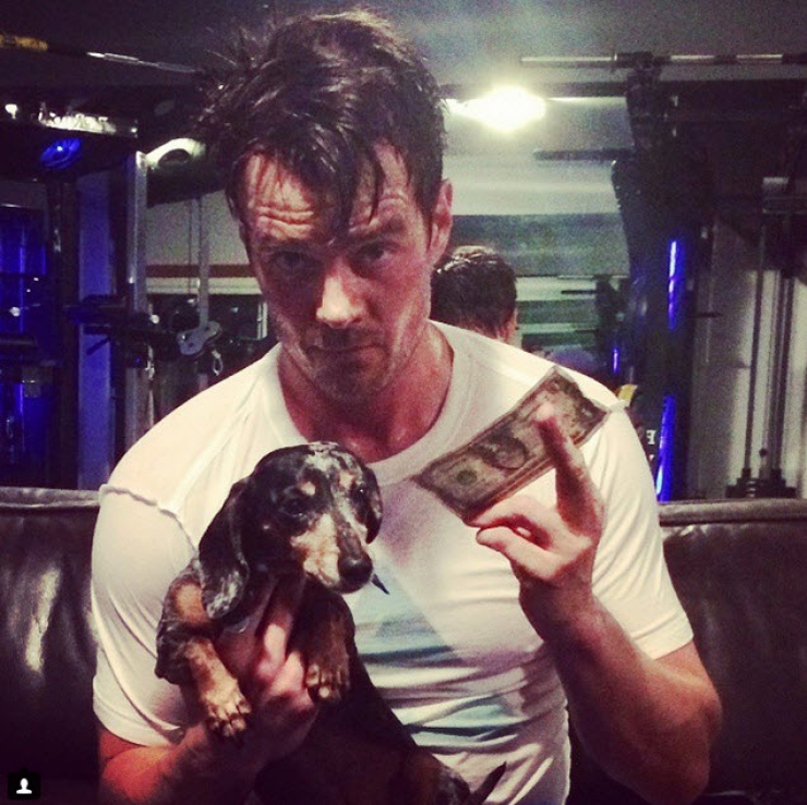 Illustration de l'article : 12 stars qui posent avec leurs chiens adorés sur Instagram