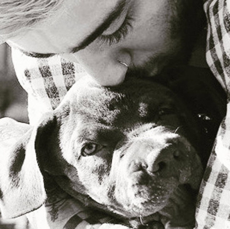 Illustration de l'article : 12 stars qui posent avec leurs chiens adorés sur Instagram