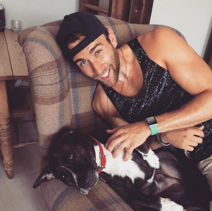 Illustration de l'article : 12 stars qui posent avec leurs chiens adorés sur Instagram