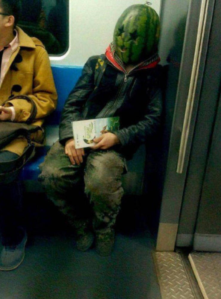 Illustration de l'article : Ces "belles" rencontres que l'on peut faire dans les transports en commun (20 photos)
