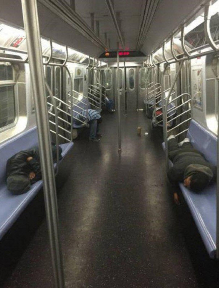 Illustration de l'article : Ces "belles" rencontres que l'on peut faire dans les transports en commun (20 photos)