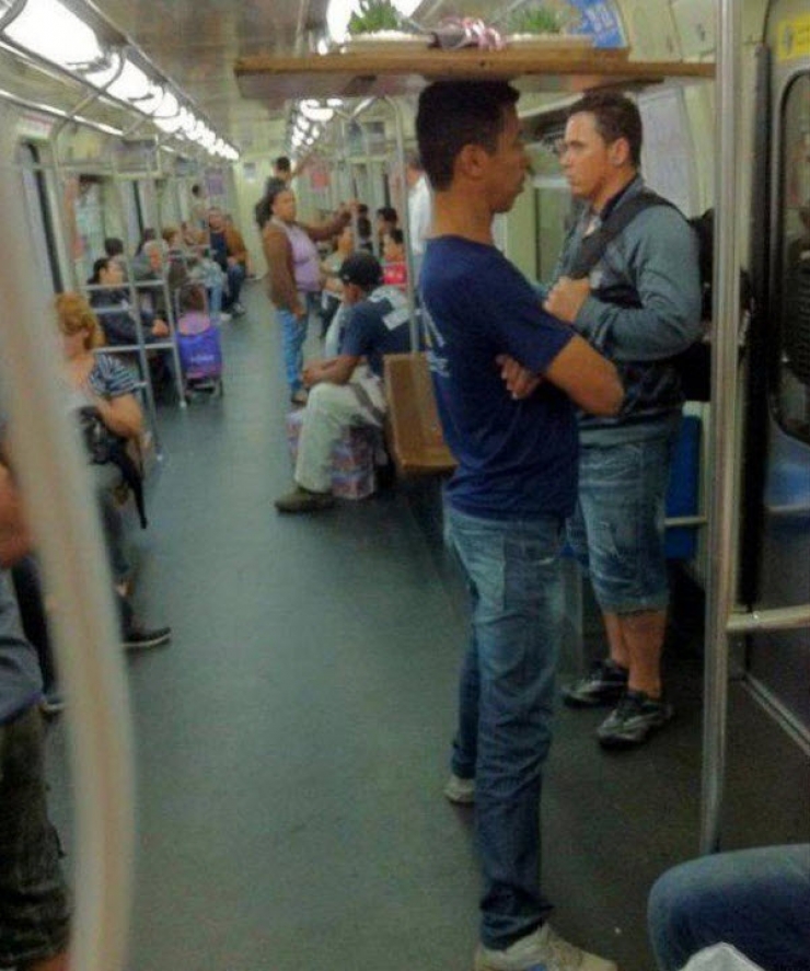 Illustration de l'article : Ces "belles" rencontres que l'on peut faire dans les transports en commun (20 photos)