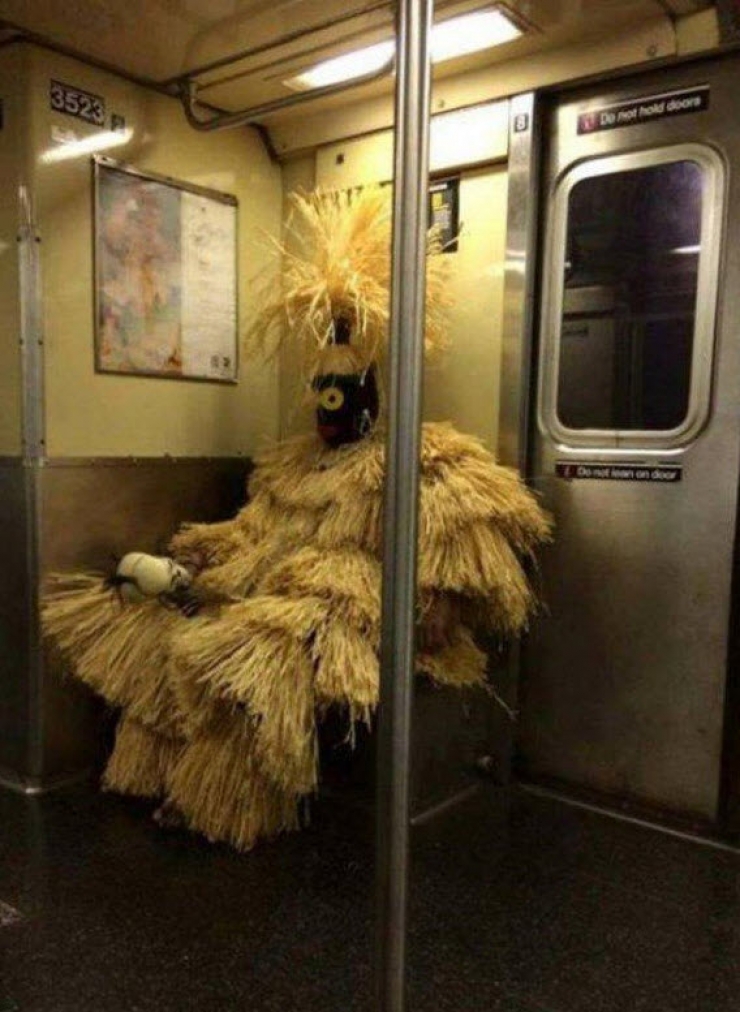 Illustration de l'article : Ces "belles" rencontres que l'on peut faire dans les transports en commun (20 photos)