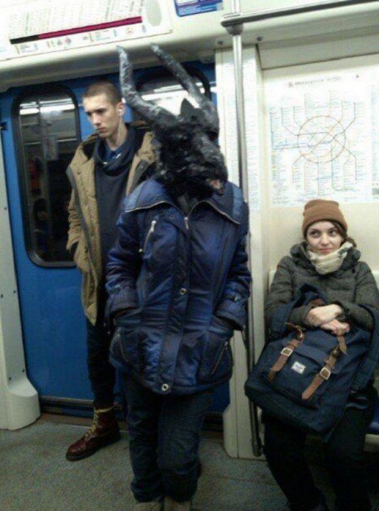 Illustration de l'article : Ces "belles" rencontres que l'on peut faire dans les transports en commun (20 photos)